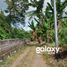  Land for sale in Kerobokan, Bali, Kerobokan