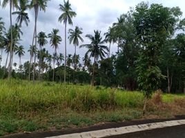  Land for sale in Quezon, Calabarzon, Tiaong, Quezon