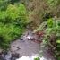  Land for sale in Talakag, Northern Mindanao, Talakag, Bukidnon, Northern Mindanao