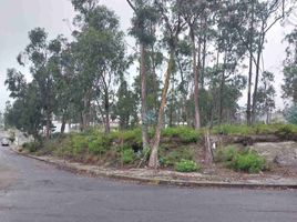  Land for sale in San Antonio, Quito, San Antonio