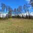  Terrain for sale in Villarrica, Cautin, Villarrica