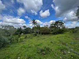  Land for sale in Cavite, Calabarzon, Tagaytay City, Cavite