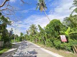  Land for sale in Argao, Cebu, Argao