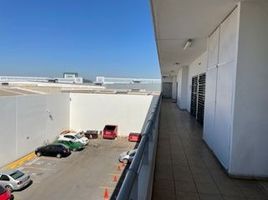 180 m² Office for rent in Monterrey, Nuevo Leon, Monterrey