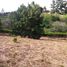  Land for sale in Santander, Los Santos, Santander