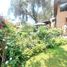5 Bedroom House for sale in Santiago De Surco, Lima, Santiago De Surco, Lima, Lima