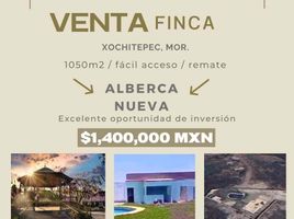 6 Habitación Quinta en venta en Xochitepec, Morelos, Xochitepec