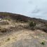  Land for sale in Jocotepec, Jalisco, Jocotepec