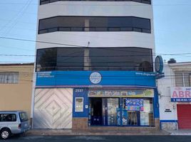 0 제곱미터입니다 Office for rent in 푸에블라, San Andres Cholula, 푸에블라