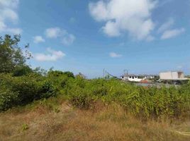  Land for sale in Uluwatu Temple, Kuta, Kuta