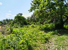  Land for sale in Aurora, Central Luzon, Maria Aurora, Aurora