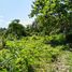  Land for sale in Maria Aurora, Central Luzon, Maria Aurora, Aurora