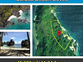  Land for sale in El Nido, Palawan, El Nido