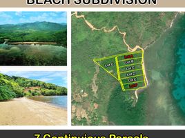  Land for sale in El Nido, Palawan, El Nido