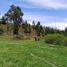  Land for sale in Cumbaya, Pichincha, Cumbaya