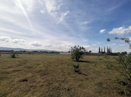  Terrain for sale in Puebla, Atlixco, Puebla