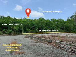  Grundstück zu verkaufen in Cancun, Quintana Roo, Cancun