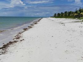 在Campeche出售的 土地, Carmen, Campeche