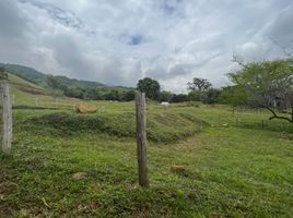  Terreno (Parcela) en venta en Palmira, Valle Del Cauca, Palmira