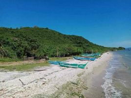  Grundstück zu verkaufen in Batangas, Calabarzon, Calatagan