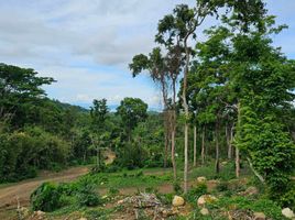  Land for sale in Rizal, Calabarzon, Tanay, Rizal