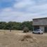  Terreno (Parcela) en venta en Catacaos, Piura, Catacaos, Piura, Piura