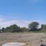  Terreno (Parcela) en venta en Catacaos, Piura, Catacaos, Piura, Piura