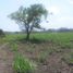  Land for sale in Paso De Ovejas, Veracruz, Paso De Ovejas