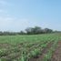  Land for sale in Paso De Ovejas, Veracruz, Paso De Ovejas