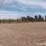  Terreno (Parcela) en venta en Salamanca, Guanajuato, Salamanca