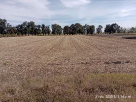  Terreno (Parcela) en venta en Salamanca, Guanajuato, Salamanca