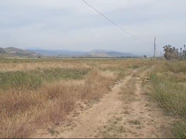  Grundstück zu verkaufen in Arteaga, Coahuila, Arteaga