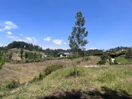  Land for sale in Rionegro, Antioquia, Rionegro