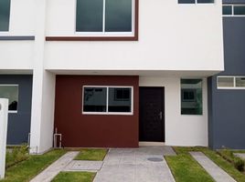 3 Habitación Casa en alquiler en Zapopan, Jalisco, Zapopan, Jalisco