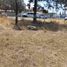  Land for sale in Xaltocan, Tlaxcala, Xaltocan
