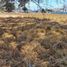  Land for sale in Xaltocan, Tlaxcala, Xaltocan