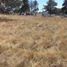 Land for sale in Xaltocan, Tlaxcala, Xaltocan