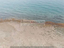  Land for sale in Dimiao, Bohol, Dimiao