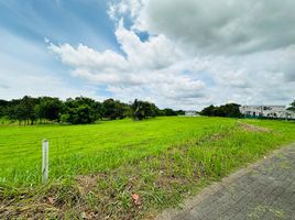  Terreno (Parcela) en venta en Santa Rosa City, Calabarzon, Santa Rosa City, Laguna
