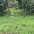  Land for sale in Rizal, Calabarzon, Antipolo City, Rizal