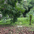Terrain à vendre à Antipolo City, Calabarzon, Antipolo City, Rizal