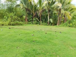  Land for sale in Western Visayas, Hamtic, Antique, Western Visayas