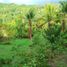  Land for sale in Western Visayas, Hamtic, Antique, Western Visayas