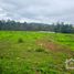  Land for sale in Omitlan De Juarez, Hidalgo, Omitlan De Juarez
