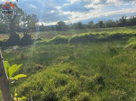  Land for sale in San Pablo, Otavalo, San Pablo