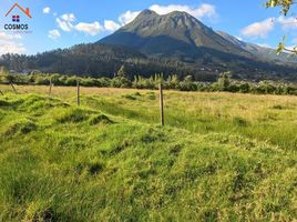  Terreno (Parcela) en venta en Imbabura, San Pablo, Otavalo, Imbabura