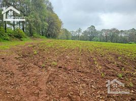  Land for sale in Mineral Del Chico, Hidalgo, Mineral Del Chico