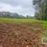 Land for sale in Mineral Del Chico, Hidalgo, Mineral Del Chico