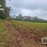  Land for sale in Mineral Del Chico, Hidalgo, Mineral Del Chico