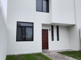 3 Schlafzimmer Wohnung zu verkaufen in Colima, Colima, Colima, Colima